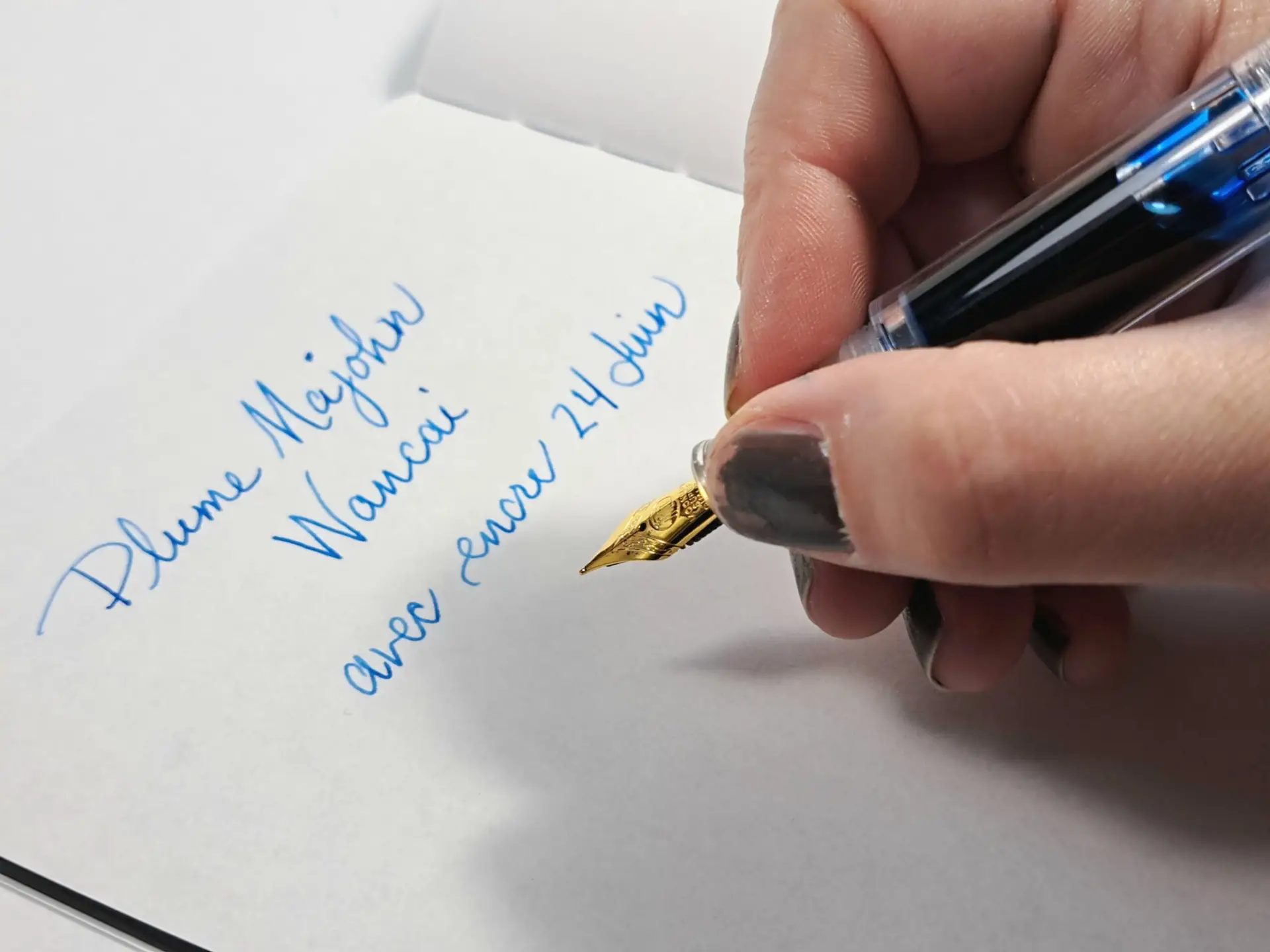 Plume Wancai - écrire - write