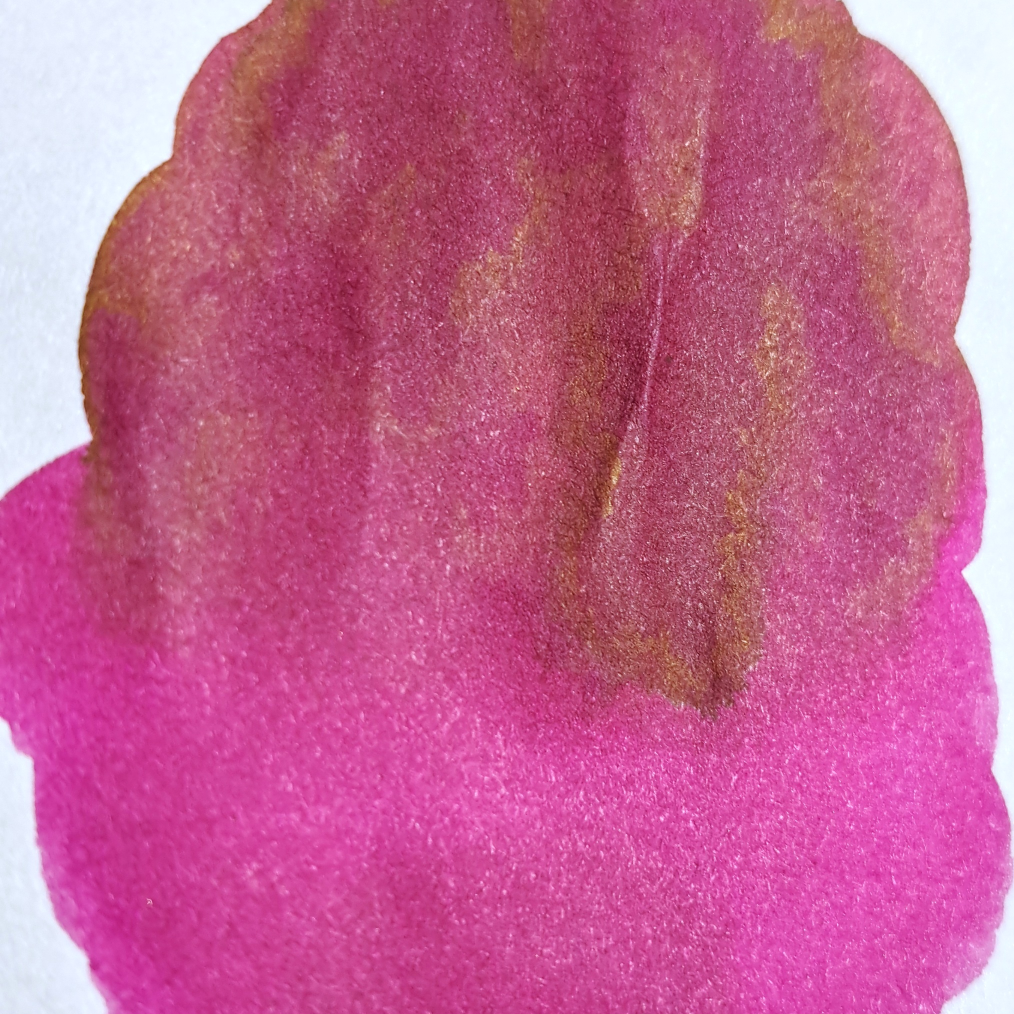 Encre pour Stylos et plumes 50ml - Fountain pen ink - Image 6